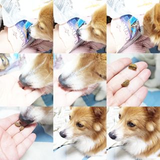 림림님이 올린 리뷰 사진 4
