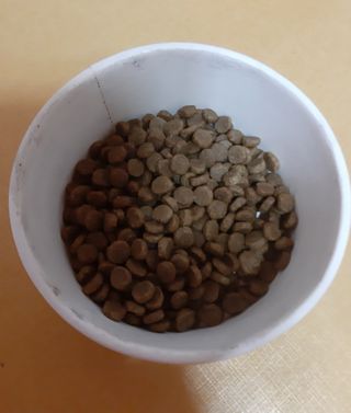moomoon님이 올린 리뷰 사진 2