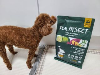 [푸디웜] 라포그  리얼인섹트 웨이트밸런스 저알러지 강아지 사료  1.2KG — 5점을 준 리뷰어가 2021년 7월 올린 사용 사진