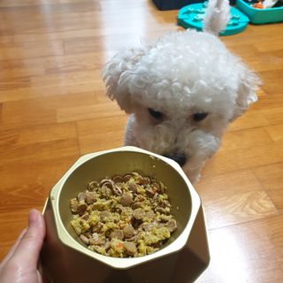 민동2님이 올린 리뷰 사진 2