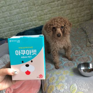 펫시랩 반려견용 액상 프리바이오틱스 아쿠아펫 — 3.5점을 준 리뷰어가 2021년 2월 올린 사용 사진
