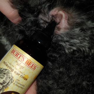 깜딱지님이 올린 리뷰 사진 4