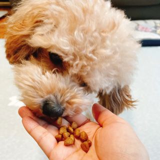 링링님이 올린 리뷰 사진 2