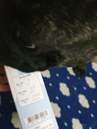 My Pet Care 장건강에 개좋아 — 5점을 준 리뷰어가 2021년 1월 올린 사용 사진