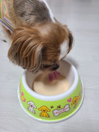 햄쓰님이 올린 리뷰 사진 3