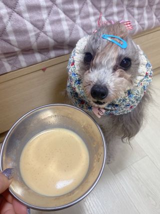 마이츄님이 올린 리뷰 사진 1