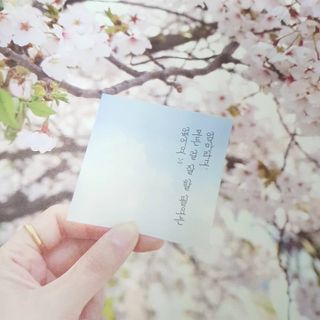 냥냥님이 올린 리뷰 사진 4
