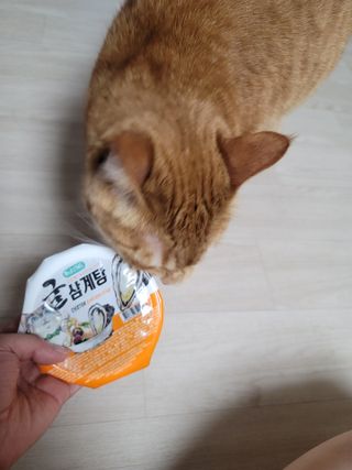 쪙현님이 올린 리뷰 사진 1