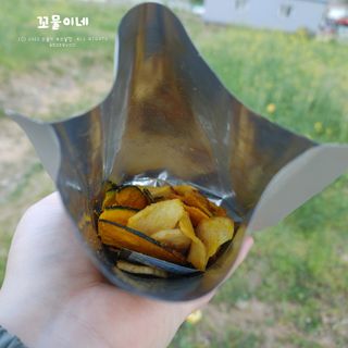 딜라이트 프로젝트 원물칩 2종 6ea(비트 믹스칩, 단호박 믹스칩) — 5점을 준 리뷰어가 2022년 4월 올린 사용 사진