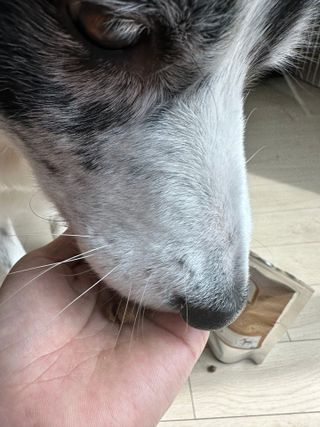 오니오니님이 올린 리뷰 사진 3