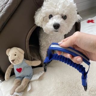 리뷰크러쉬님이 올린 리뷰 사진 1