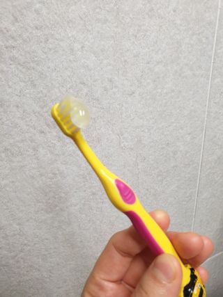 장토끼네님이 올린 리뷰 사진 2