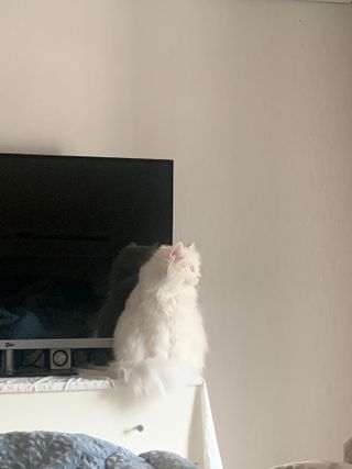 례진님이 올린 리뷰 사진 3