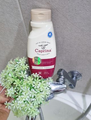 (구패키지)카프리나 프레쉬 산양밀크 어메이징 바디워시 500ml(오리지널향) — 5점을 준 리뷰어가 2023년 2월 올린 사용 사진