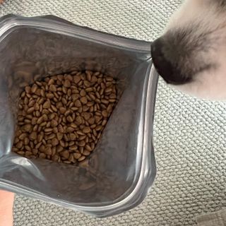 [푸디웜] 라포그 리얼인섹트 소프트키블 스킨 1KG — 5점을 준 리뷰어가 2022년 9월 올린 사용 사진