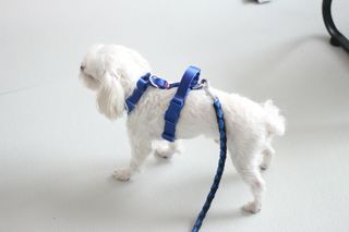 희온느님이 올린 리뷰 사진 3