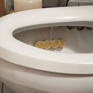 비오맘님이 올린 리뷰 사진 2
