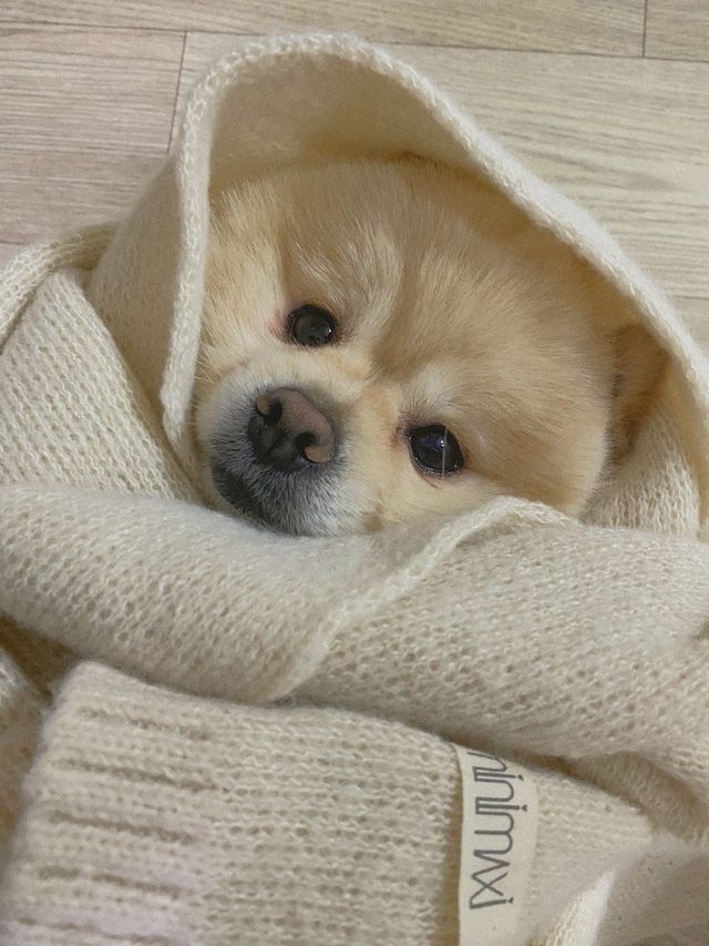[블랙루즈] 딸기 퐁당 밀크 토너 리뷰 사진