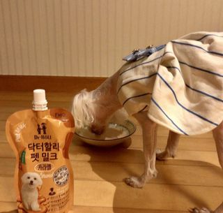 솔직리뷰쓰는사람님이 올린 리뷰 사진 4