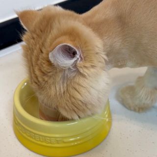 쁘띠동님이 올린 리뷰 사진 1