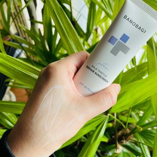 바노바기 코스메틱 바노바기 밀크씨슬 리페어 시카 선스크린 플러스 50ml — 5점을 준 리뷰어가 2023년 1월 올린 사용 사진