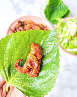풀잎이님이 올린 리뷰 사진 2