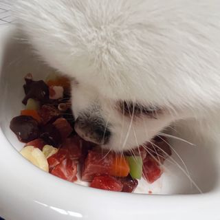 오랑이님이 올린 리뷰 사진 2