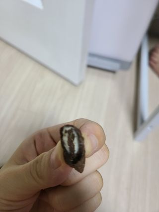 mgpc1004님이 올린 리뷰 사진 3