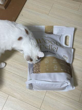 버진플래닛코리아 버진플래닛 고양이 화장실 우드 펠렛 모래 배변 펠릿 — 4.5점을 준 리뷰어가 2023년 2월 올린 사용 사진