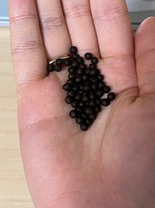 김수현님이 올린 리뷰 사진 3