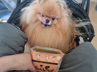 아롱이님이 올린 리뷰 사진 3