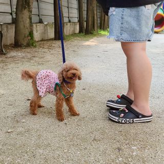 랭쑤님이 올린 리뷰 사진 3