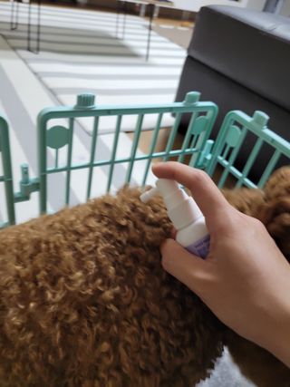 sssee님이 올린 리뷰 사진 3