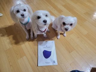 공팔리터님이 올린 리뷰 사진 1