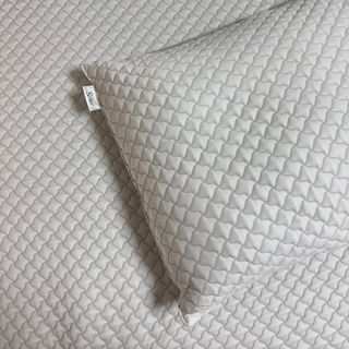 뽀히님이 올린 리뷰 사진 3