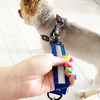 꿀냥이님이 올린 리뷰 사진 2