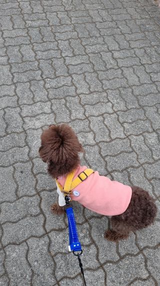콩지님이 올린 리뷰 사진 2
