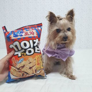 솜희님이 올린 리뷰 사진 2