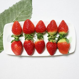 옳음 딸기 논산 설향 딸기 900g 산지직송 — 5점을 준 리뷰어가 2021년 1월 올린 사용 사진