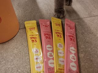 페페로니 잘 먹는 캣츄 - 무항생제 닭고기 12개 + 알래스카 연어 12개 — 5점을 준 리뷰어가 2021년 8월 올린 사용 사진