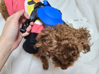 연이님이 올린 리뷰 사진 3