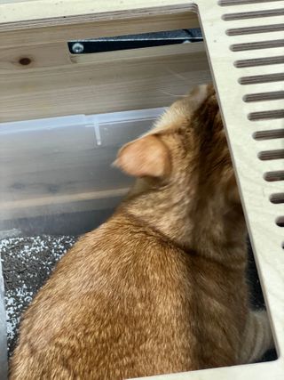 벼뤼님이 올린 리뷰 사진 4