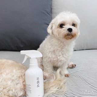 아름콩님이 올린 리뷰 사진 2