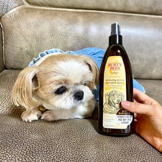 momo님이 올린 리뷰 사진 3