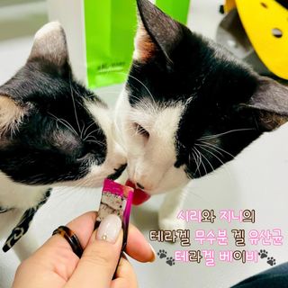 펭뽀꾸님이 올린 리뷰 사진 1