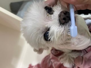 라임님이 올린 리뷰 사진 2