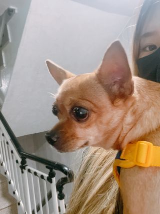 유르율님이 올린 리뷰 사진 1