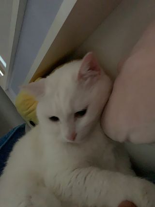 ㄹ진님이 올린 리뷰 사진 3