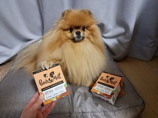 아롱이님이 올린 리뷰 사진 1