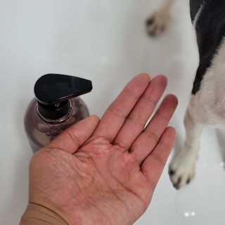 마리앤루이펫샴푸 [mari and louie pet shampoo] — 5점을 준 리뷰어가 2021년 6월 올린 사용 사진